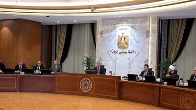 رئيس الوزراء: تفعيل آليات التصدي للشائعات واتخاذ الإجراءات القانونية لناشري الأخبار الكاذبة 