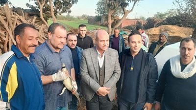 محافظ الشرقية يعلن نجــاح اصطياد “تمساح الزوامل” بمركز بلبيس