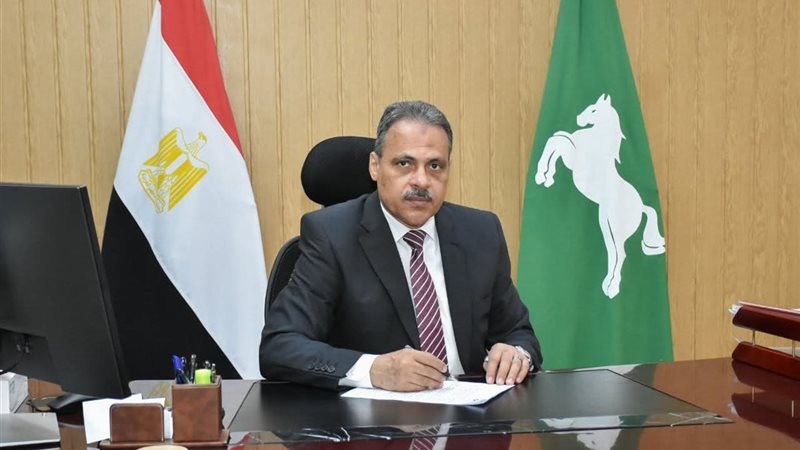 محافظ الشرقية 