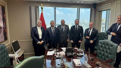 وفد لجنة الطاقة بمجلس الشيوخ يبحث مع وزير الكهرباء ملفات الطاقة 