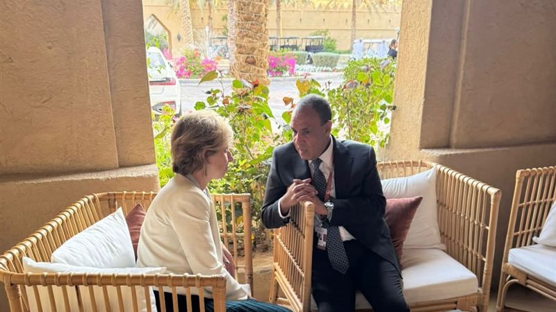 وزير الخارجية 