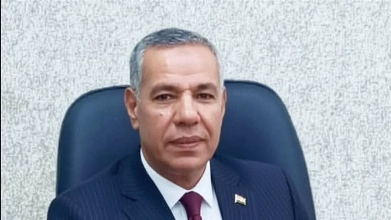 محافظ الدقهلية