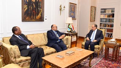 وزير الخارجية المصري يبحث مع نظيره التنزاني تعزيز العلاقات الثنائية والأمن المائي