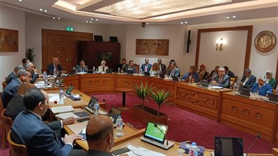 اللجنة الدائمة لمتابعة العلاقات المصرية الإفريقية تناقش المشروعات التنموية والاقتصادية