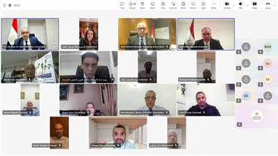 لقاء افتراضي لوزير الخارجية مع الجالية المصرية في كمبوديا وسنغافورا وتايلاند