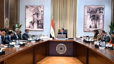 رئيس الوزراء يتابع الموقف التنفيذي لمشروعات الطاقة المتجددة