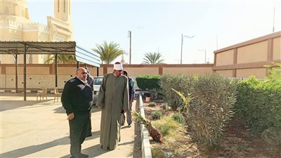 رئيس الأزهر بالسويس يتابع أعمال تقليم وتهذ.يب الأشجار بفناء عام المنطقة