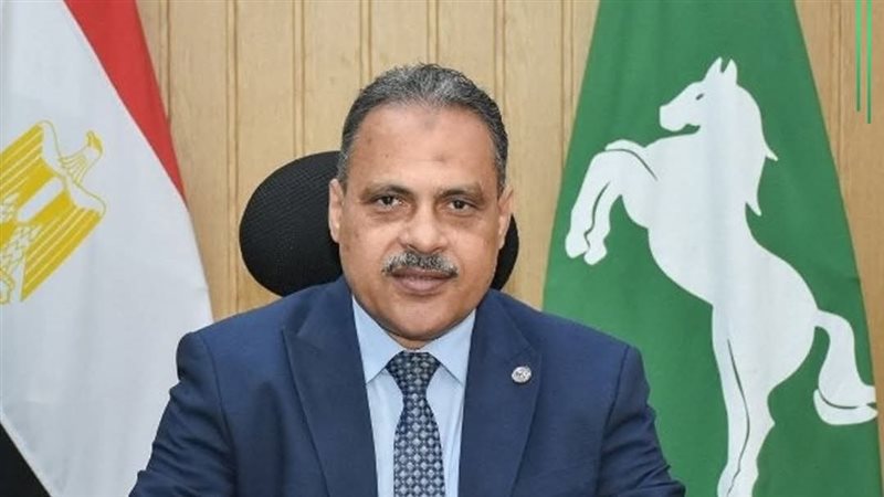محافظ الشرقية 