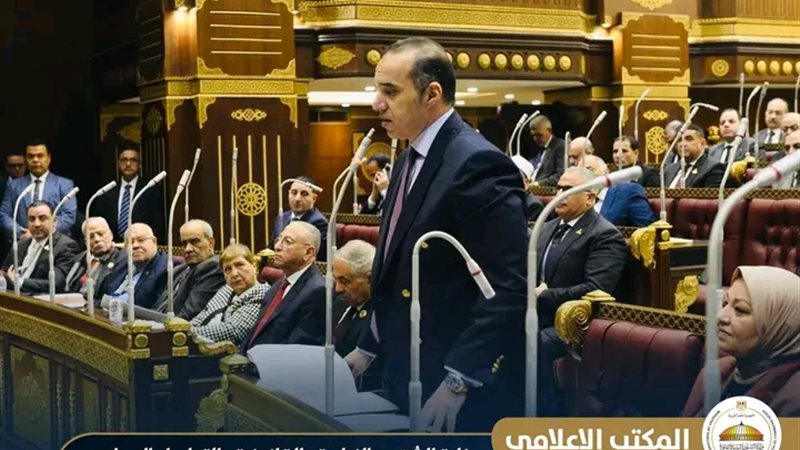 المستشار محمود فوزي