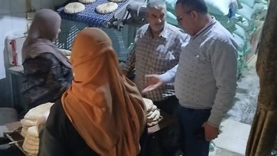 ضبط 640 كيلو عسل ولحوم وتحرر 128 مخالفة بالدقهلية