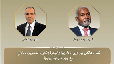 اتصال هاتفي بين وزير الخارجية ونظيره النيجيري لبحث تطورات الأوضاع الإقليمية