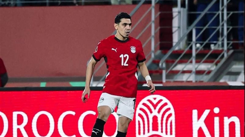 محمد حمدي 