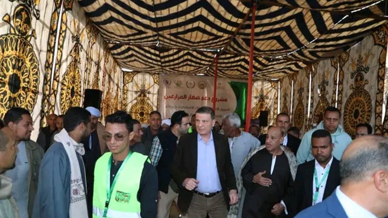 المواطن