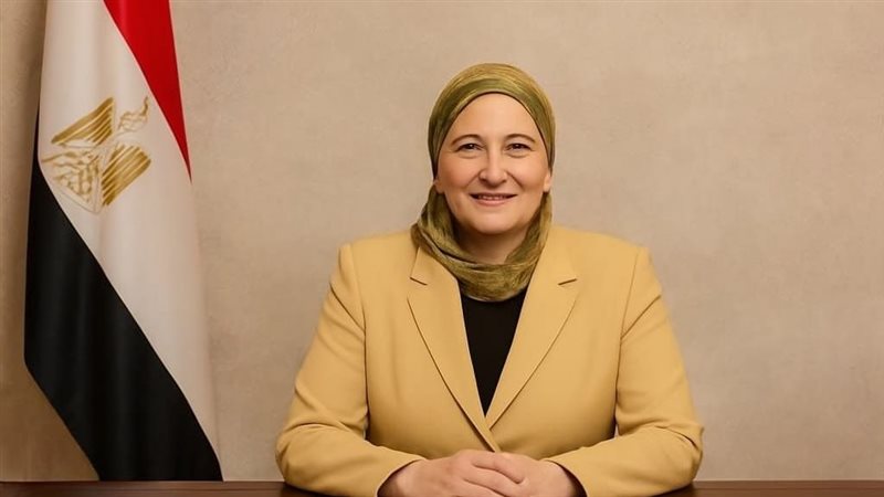 عبير عيسى