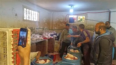 محافظة الجيزة تضبط 75 طن مصنعات لحوم ودواجن فاسدة 