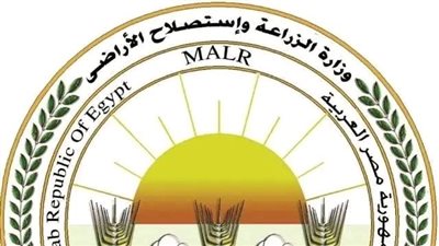 وزارة الزراعة تعلن فتح السوق الأوزبكي أمام صادرات مصر من الفراولة الطازجة