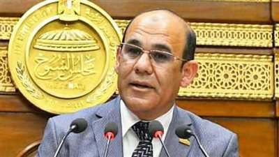 برلماني يطالب وزير المالية بتعديل رواتب حراس الوطن بتعليم السويس
