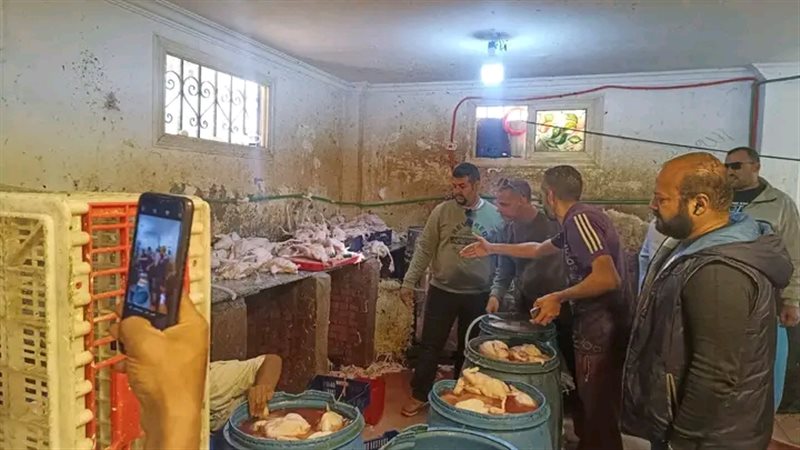 محافظة الجيزة 