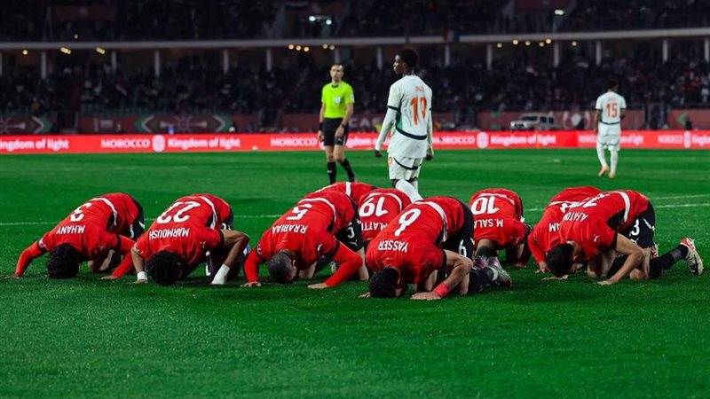 المواطن
