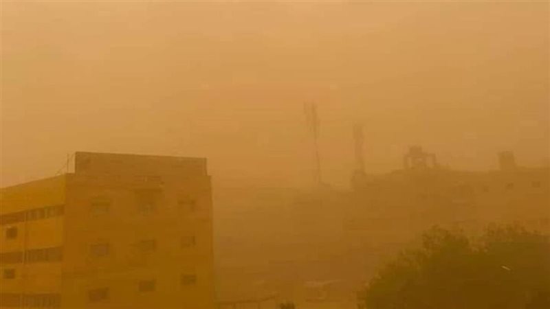العاصفة التربية 