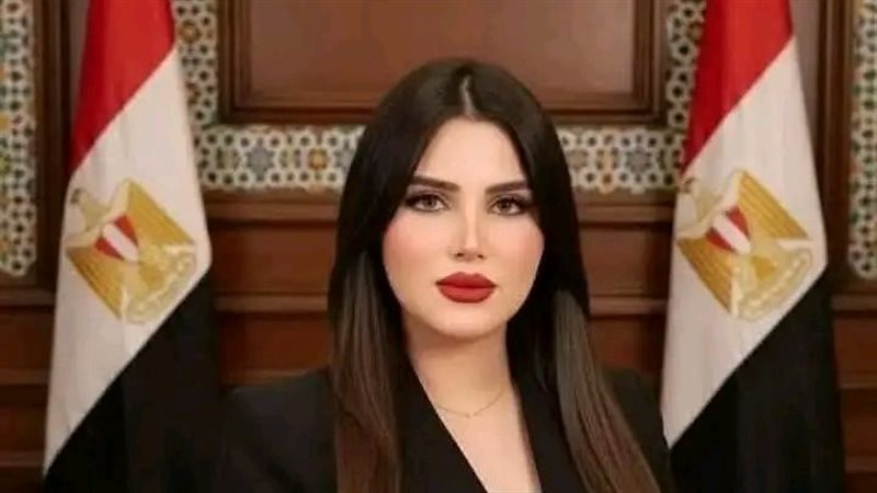 النائبة ريهام أبو