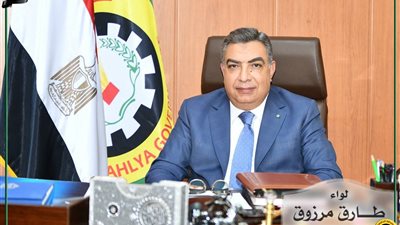 محافظ الدقهلية يعلن عن دورة مجانية للخط العربي بمكتبة مصر العامة