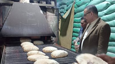 ضبط نصف طن أعلاف ومنتجات غذائية ومخالفة تموينية في حملات بالدقهلية