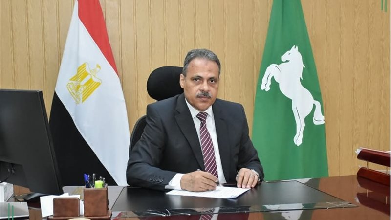محافظ الشرقية 