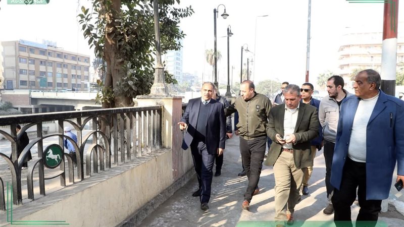 محافظ الشرقية 