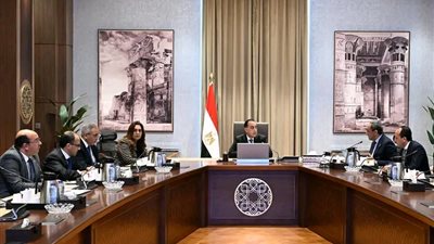 رئيس الوزراء يتابع مع محافظ قنا الموقف التنفيذي لعدد من المشروعات التنموية 