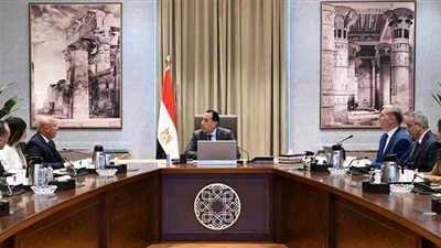 رئيس الوزراء يستعرض جهود تعظيم الاستفادة من الخامات التعدينية والمحجرية في مصر