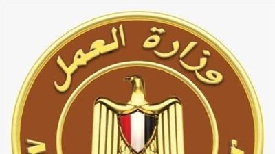 وزير العمل يأمر بالتحقيق مع موظفي مكتب عمل دسوق بسبب فيديو متداول