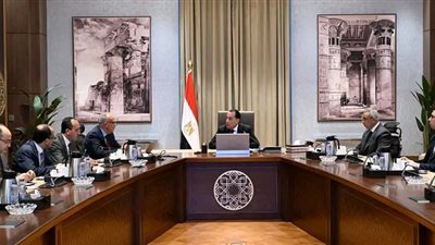 رئيس الوزراء يتابع مع وزير الري عددا من ملفات عمل الوزارة