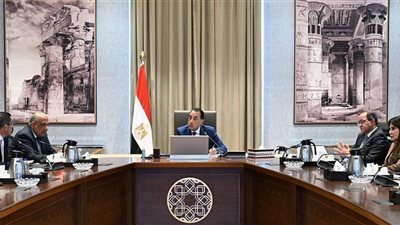رئيس الوزراء يتابع الموقف التنفيذي للمشروعات في قطاع الطاقة وجذب الاستثمارات 