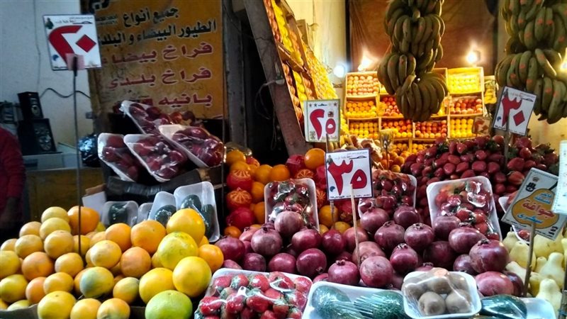 المواطن