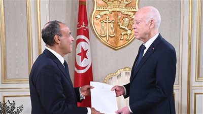 بدر عبد العاطي يسلّم رسالة من الرئيس السيسي إلى الرئيس التونسي