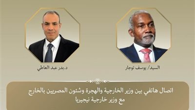 تعزيز العلاقات المصرية النيجيرية: بحث سبل التعاون والتطورات الإقليمية