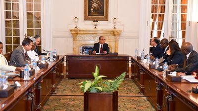 وزير الخارجية يلتقي ممثلي الاتحاد الأفريقي في مصر