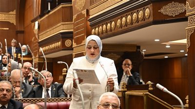 النائبة مروة قنصوه: حماية الأطفال وتنظيم المستشفيات الجامعية أولوياتنا الوطنية