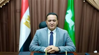 حملة مكبرة للنظافة وصيانة الكهرباء بقرية المؤانسة بكفر صقر