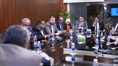 أمانة الطاقة المركزية بحزب مستقبل وطن تعقد اجتماعا تنظيميا مع أمنائها بالمحافظات