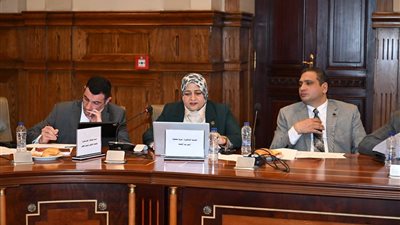 النائبة مروة قنصوه تطالب بإطلاق منصة قومية موحدة للسجل الطبي الإلكتروني