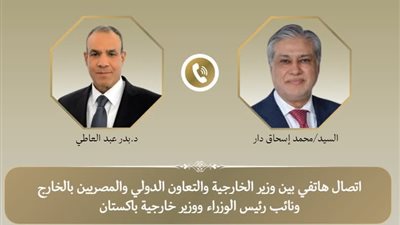 مصر وباكستان تؤكدان على ضرورة حل القضية الفلسطينية ودعم الاستقرار الإقليمي