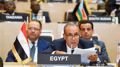 وزير الخارجية يستعرض التقرير السنوي لمجلس السلم والأمن أمام قمة الاتحاد الأفريقي