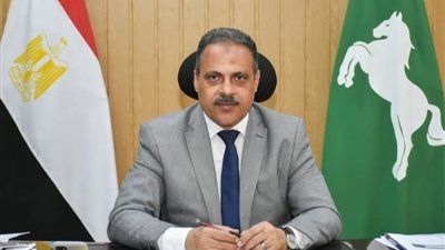 رسمياً ... تحديث المخططات الإستراتيجية جديدة  لـ 120 قرية بالشرقية 