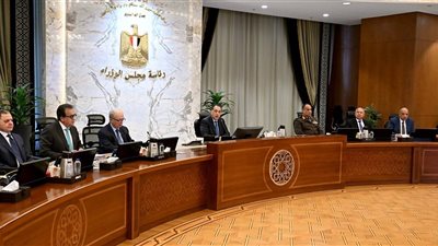 رئيس الوزراء:الحكومة تعمل على تنفيذ توجيهات الرئيس بضرورة توفير احتياجات القطاعات الإنتاجية