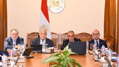 وزير الخارجية يفتتح اجتماع مجلس أمناء الوكالة المصرية للشراكة من أجل التنمية