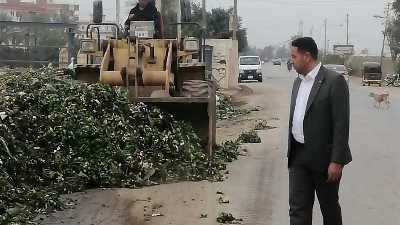 المواطن