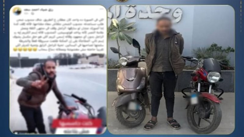 المواطن