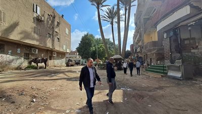 رئيس مدينة أبو النمرس بجنوب الجيزة يقود حملة نظافة مكبرة لقرى المركز
